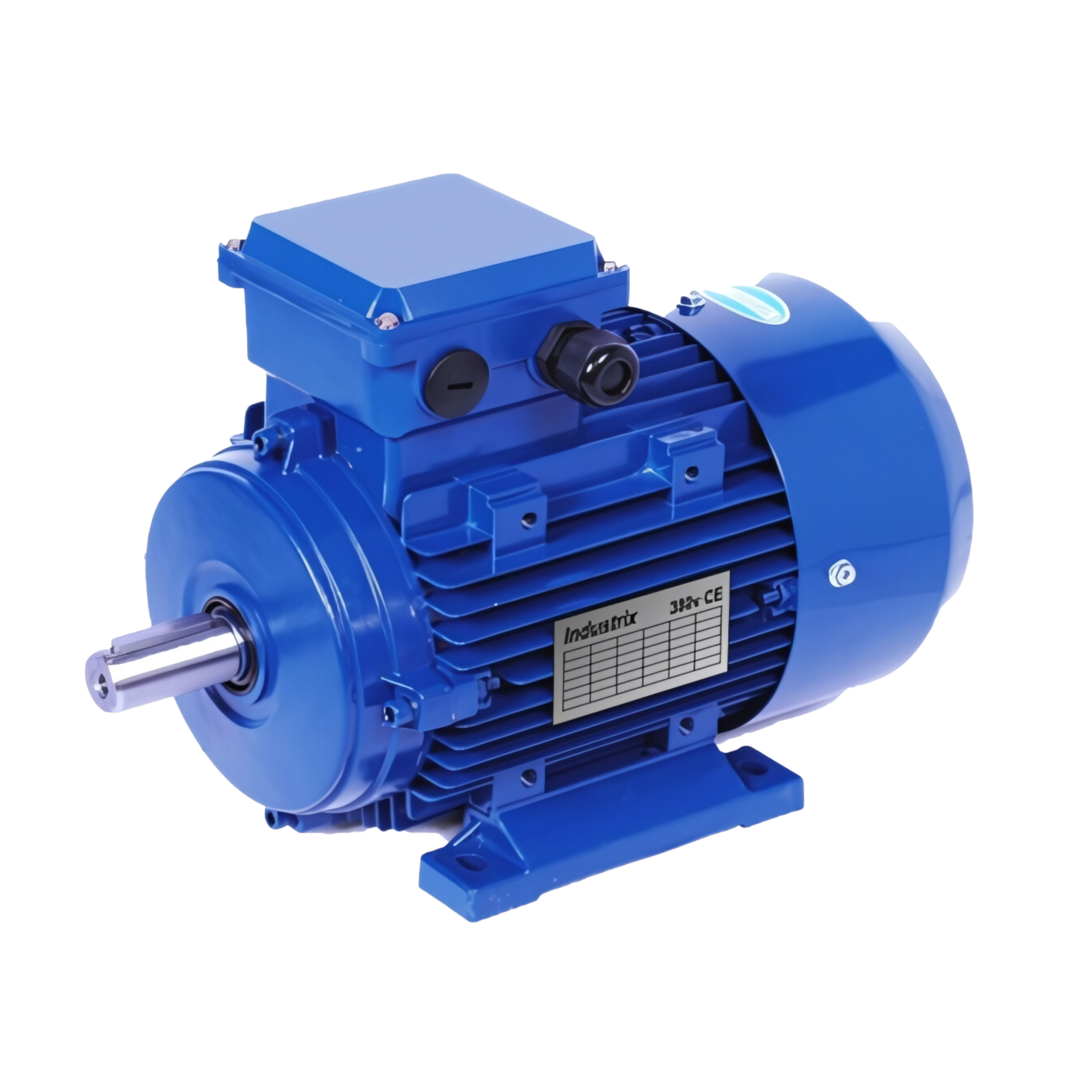Industrial Electric Motor